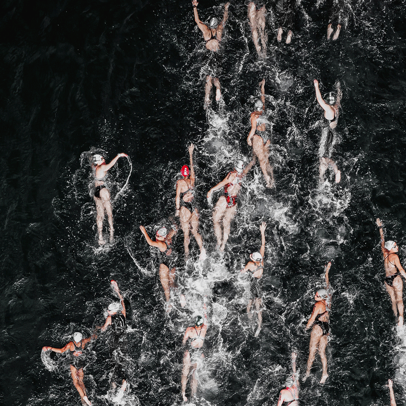 A dozen and a half swimmers in competition gear, in the water.